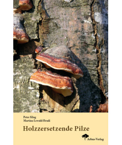 Holzzersetzende Pilze - Neuauflage