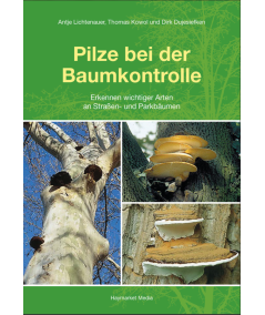 Pilze bei der Baumkontrolle