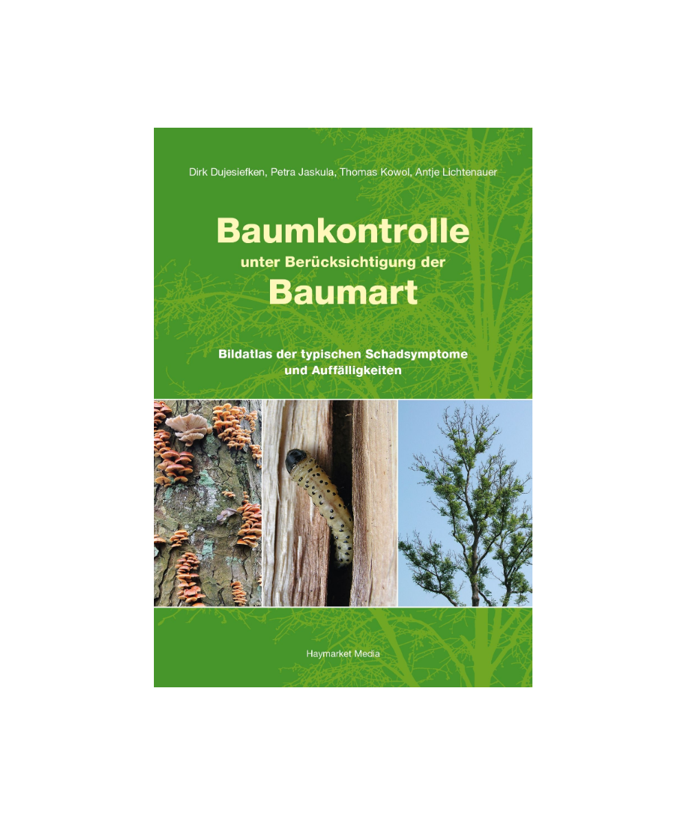 Baumkontrolle unter der Berücksichtigung der Baumart